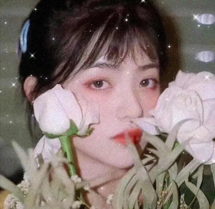 狮子彻夜未眠